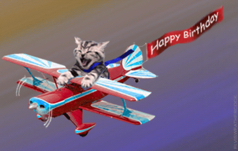 birthday-pilotcat(1).gif