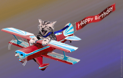 birthday-pilotcat1_2020-06-17.gif